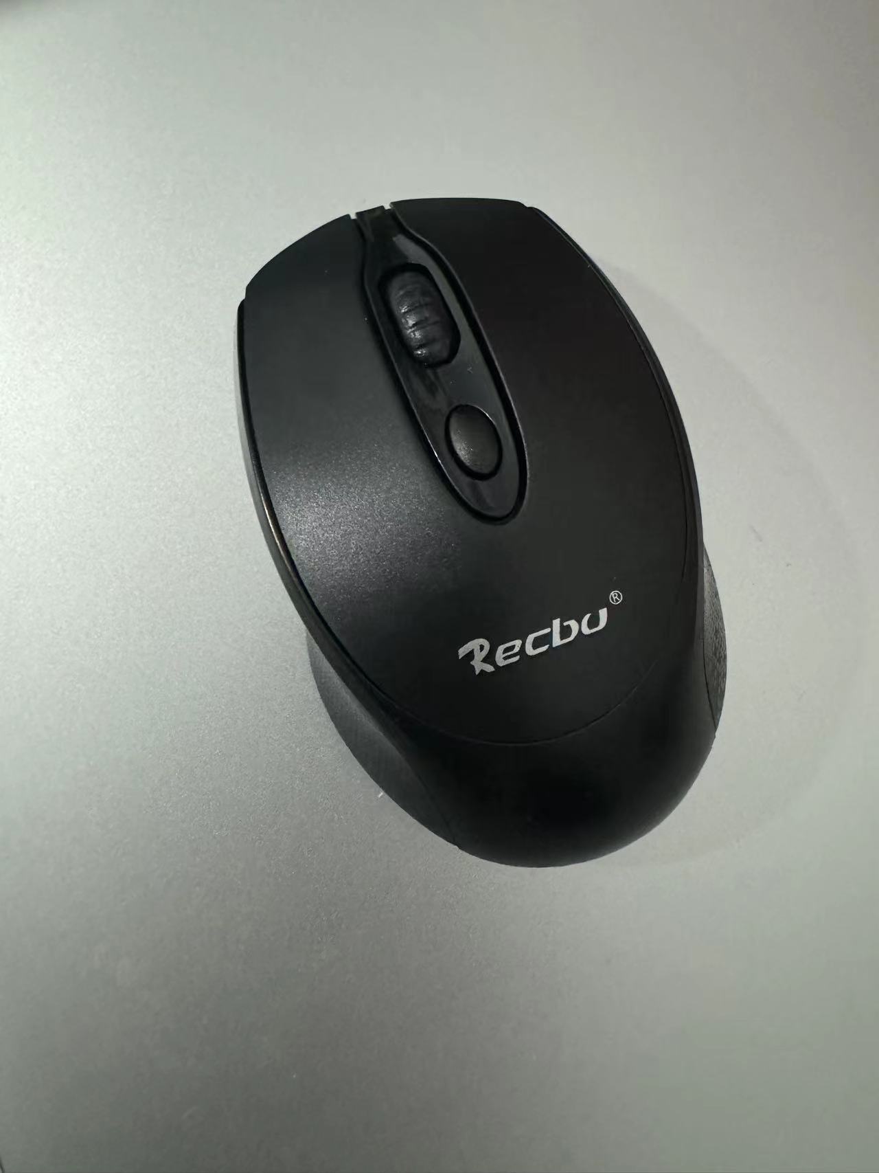 mouse